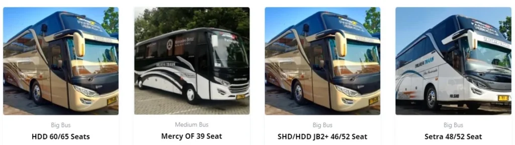 jenis armada di jasa sewa bus pariwisata bandung - Trijaya Trans-1