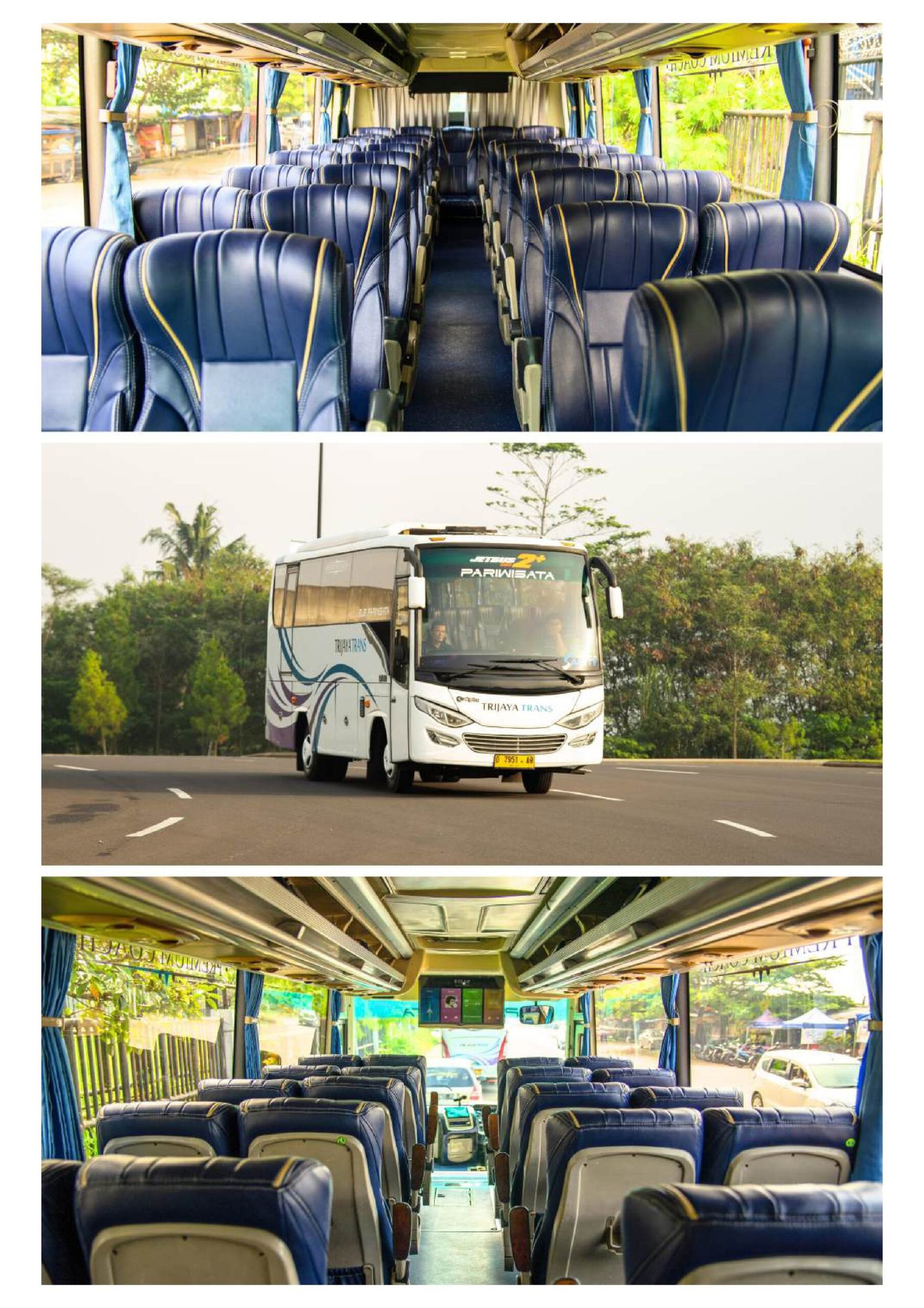 Mini Coaster 17 Seats