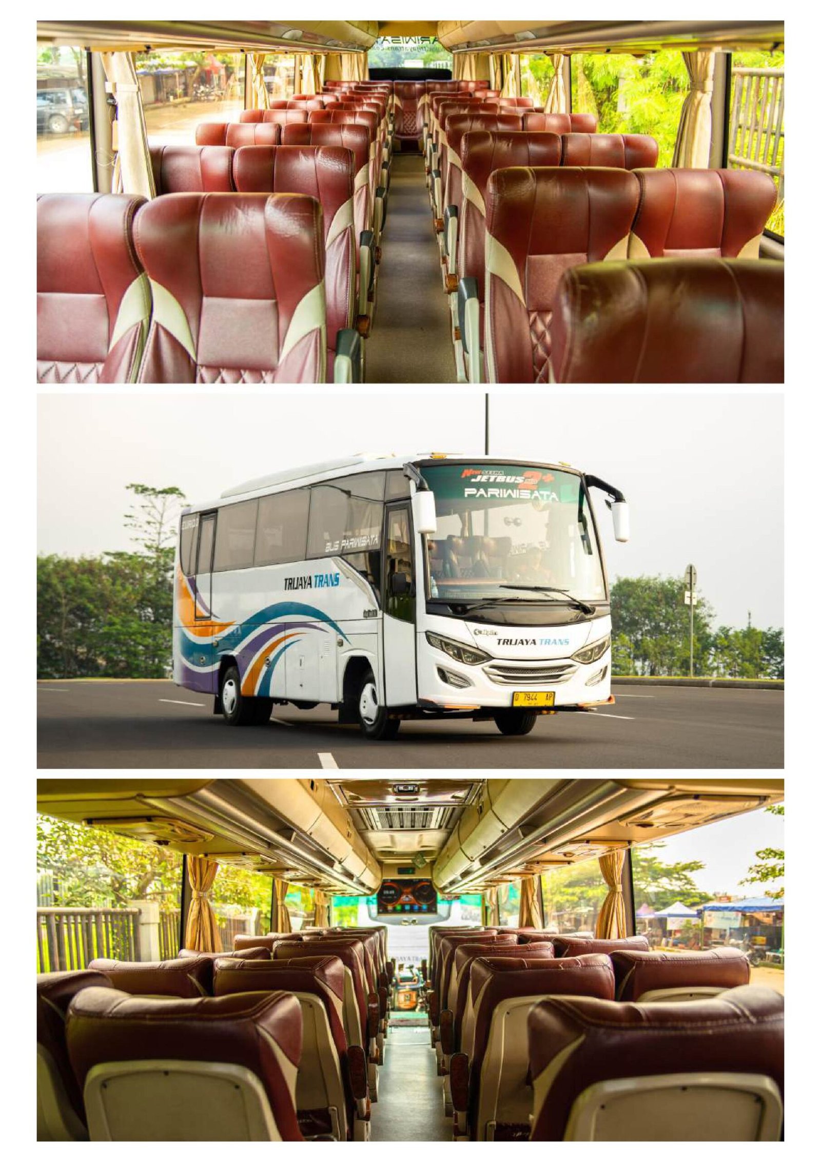 Medium Tourista - 33 Seats