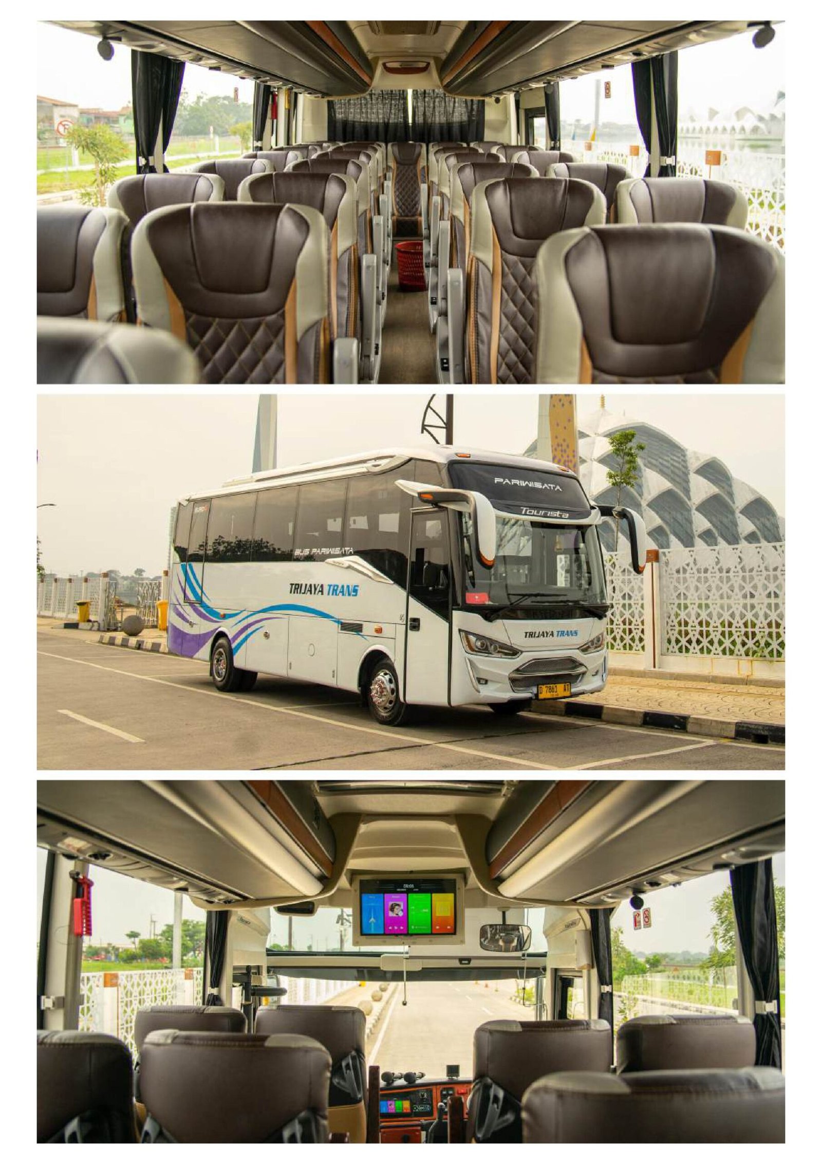 Medium Tourista - 33 Seats