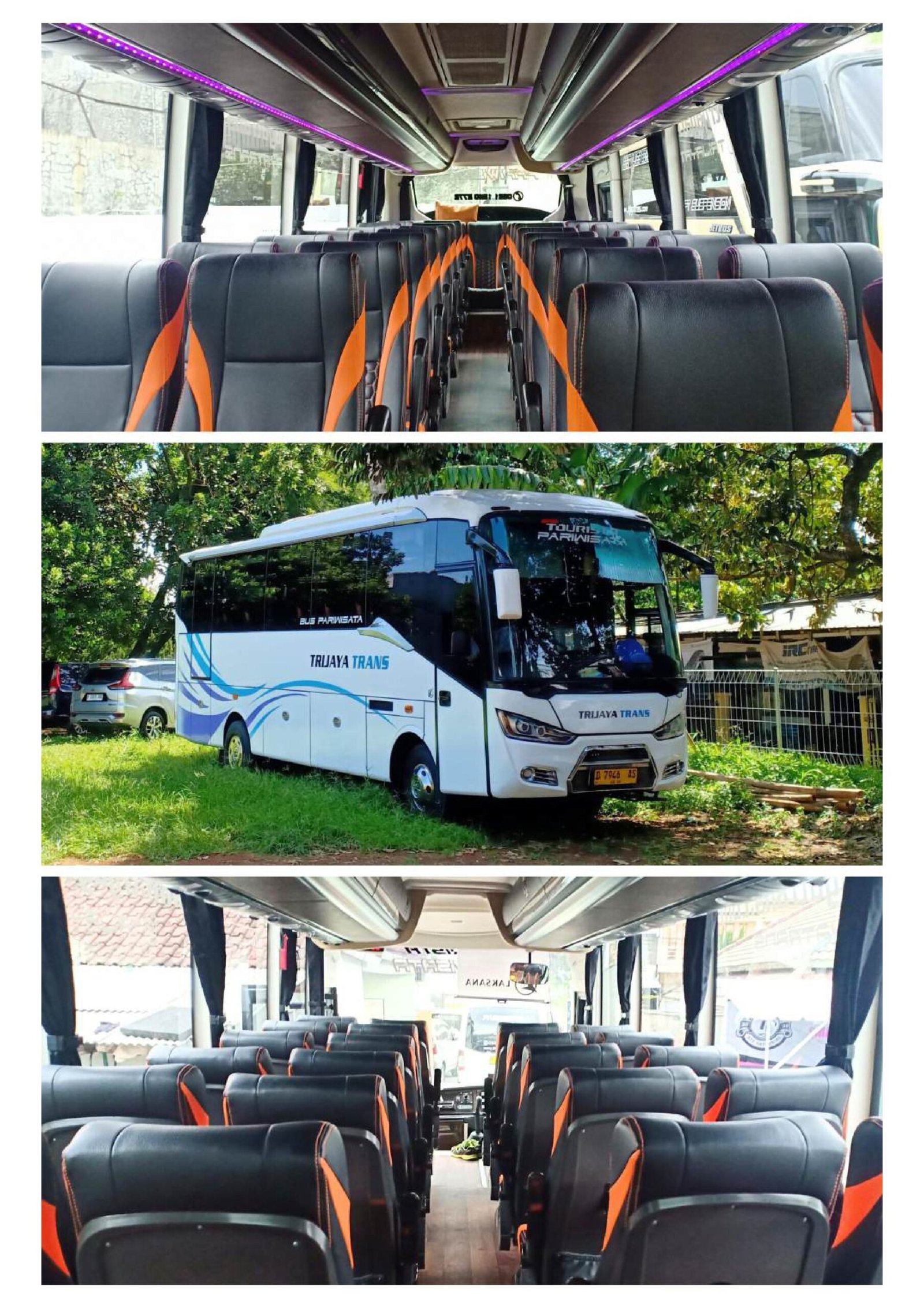 Mini Coaster 17 Seats