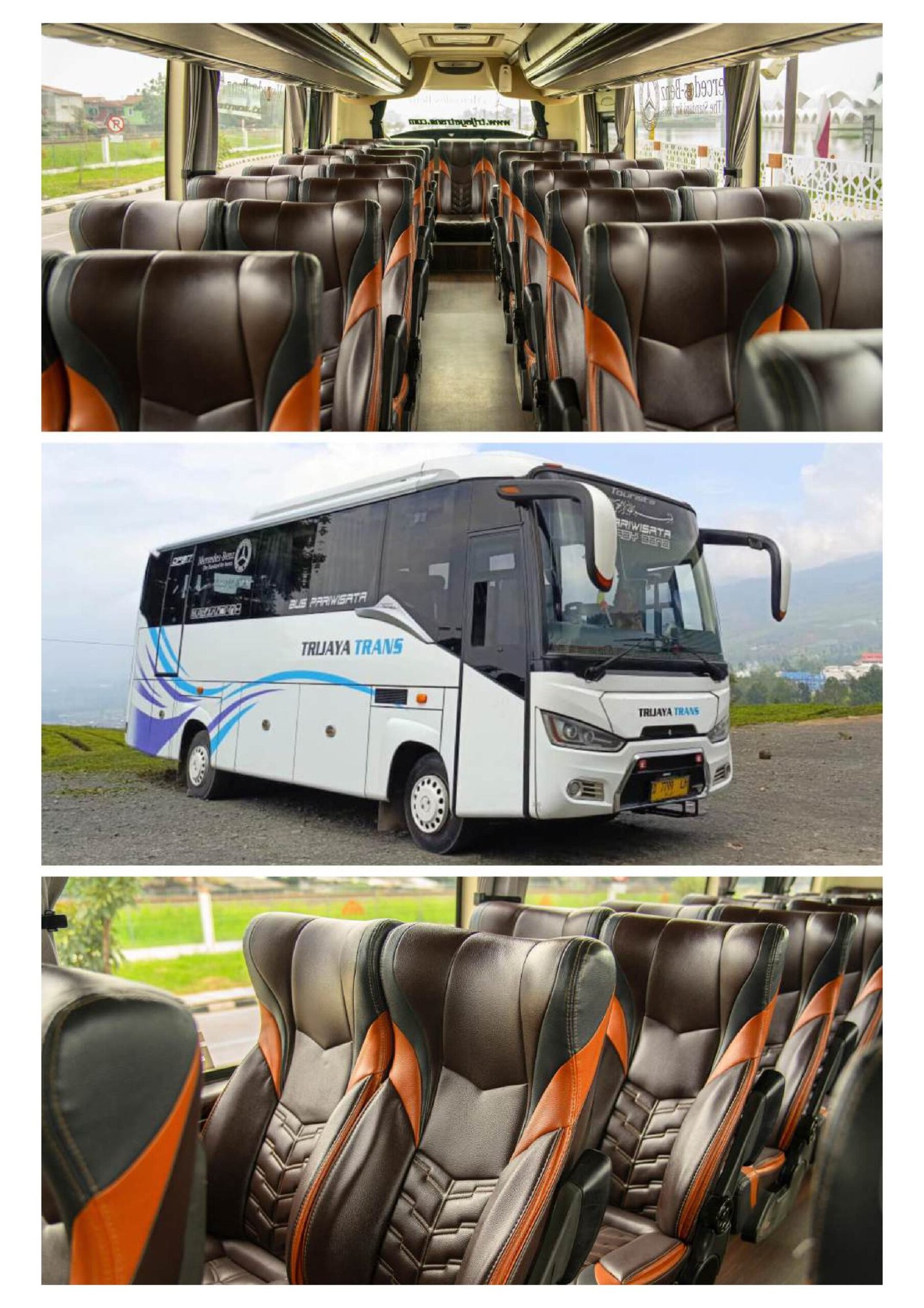 29 Seat - Mitsubishi - JB 2+