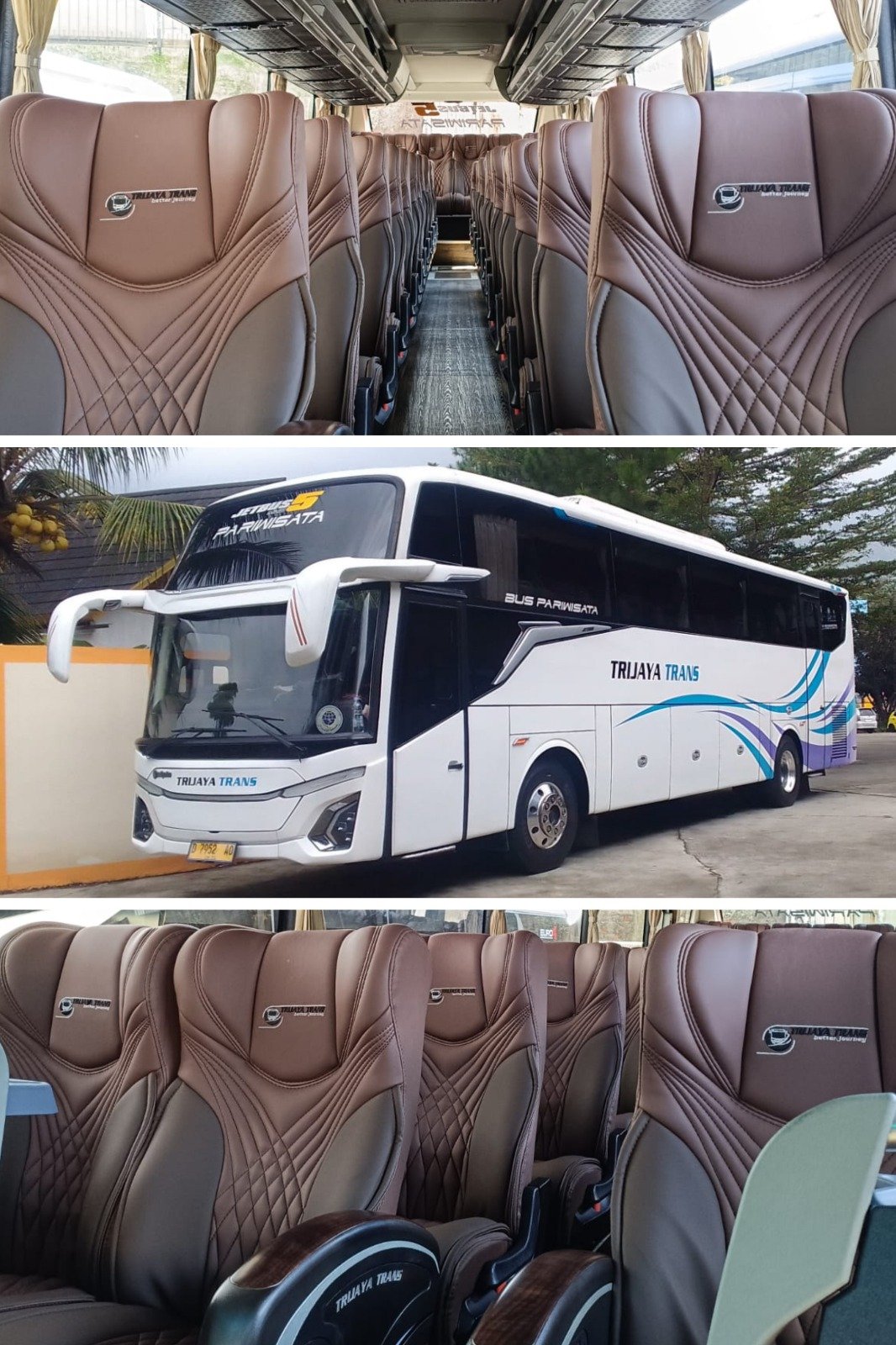 29 Seat - Mitsubishi - JB 2+