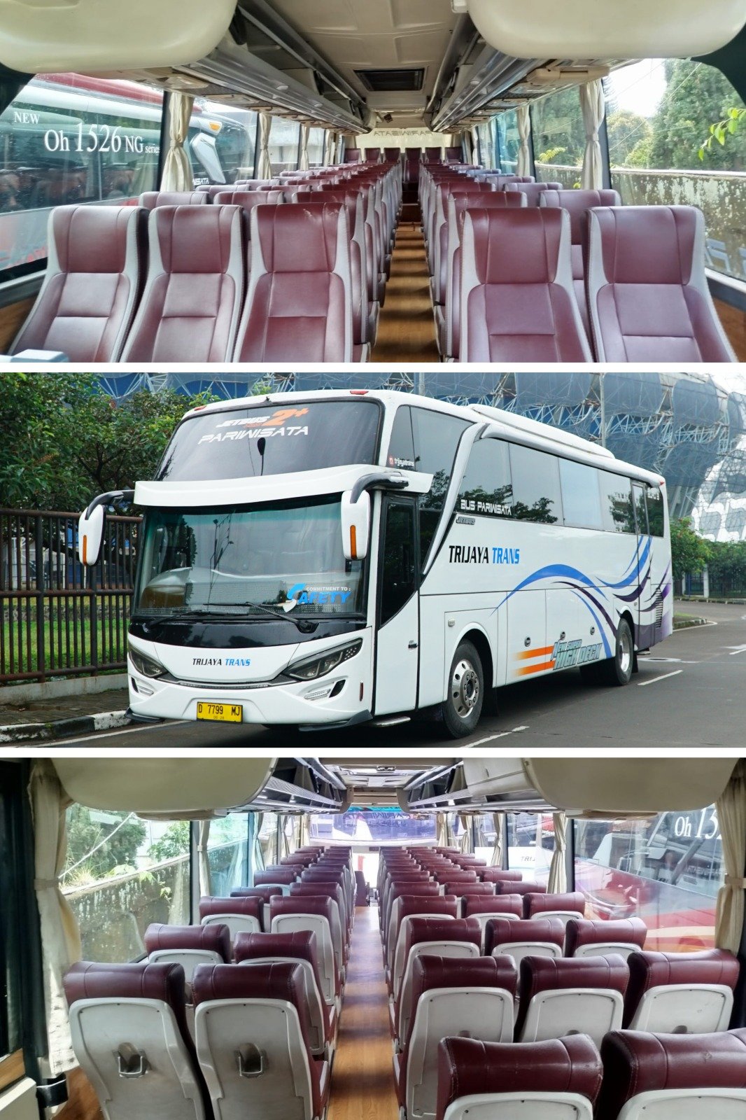Medium Tourista - 33 Seats